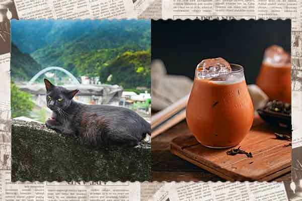 貓咪數量銳減　猴硐貓村下一步該怎麼走？/正常甜 = 半糖　泰國重訂「正常甜度」標準
